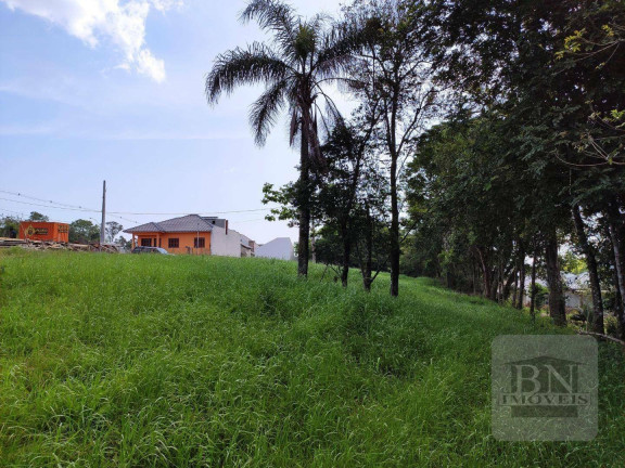 Imagem Terreno à Venda, 515 m² em Linha Santa Cruz - Santa Cruz Do Sul Imagem Terreno à Venda, 515 m² em Linha Santa Cruz - Santa Cruz Do Sul