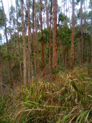 Imagem Terreno à Venda, 1 m² em Parque Santo Antônio - Jacareí Imagem Terreno à Venda, 1 m² em Parque Santo Antônio - Jacareí