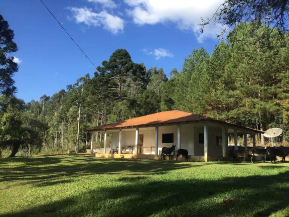 Imagem Imóvel com 2 Quartos à Venda, 52.400 m² em Centro - Rio Negro Imagem Imóvel com 2 Quartos à Venda, 52.400 m² em Centro - Rio Negro