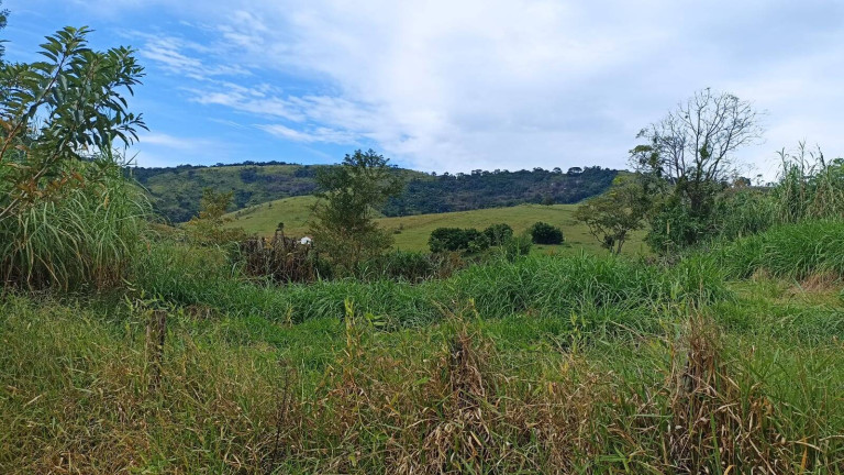 Imagem Fazenda à Venda, 200 m² em Lajeado - Paraibuna Imagem Fazenda à Venda, 200 m² em Lajeado - Paraibuna