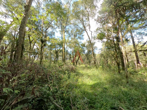Imagem Fazenda à Venda, 20.000 m² em Jordão - Guarapuava Imagem Fazenda à Venda, 20.000 m² em Jordão - Guarapuava