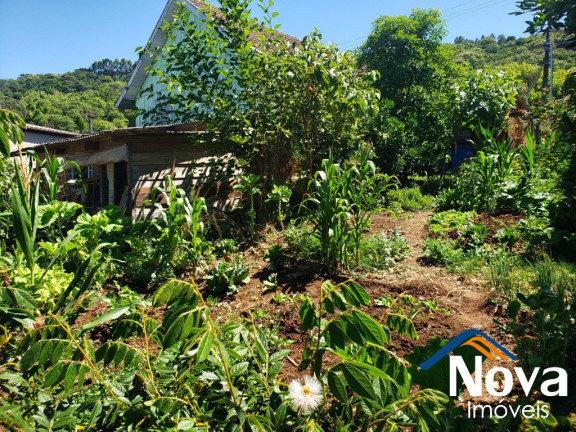 Imagem Imóvel com 3 Quartos à Venda, 85 m² em Piá - Nova Petrópolis Imagem Imóvel com 3 Quartos à Venda, 85 m² em Piá - Nova Petrópolis
