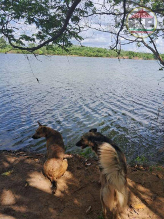 Imagem Fazenda à Venda, 968.000 m² em Zona Rural - Marabá Imagem Fazenda à Venda, 968.000 m² em Zona Rural - Marabá