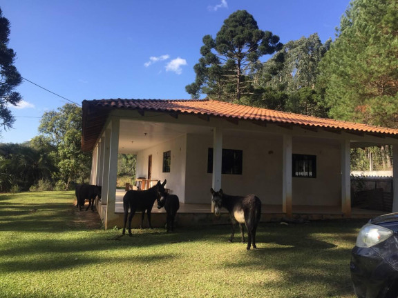 Imagem Imóvel com 2 Quartos à Venda, 52.400 m² em Centro - Rio Negro Imagem Imóvel com 2 Quartos à Venda, 52.400 m² em Centro - Rio Negro