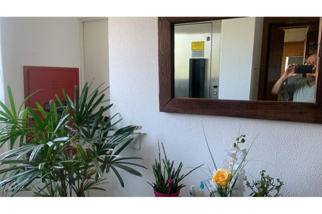 Imagem Apartamento com 4 Quartos à Venda, 217 m² em Higienópolis - Porto Alegre