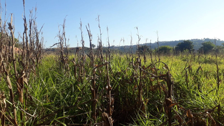 Imagem Terreno à Venda, 1.010 m² em Poço - Piedade Imagem Terreno à Venda, 1.010 m² em Poço - Piedade