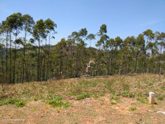 Imagem Terreno à Venda, 125 m² em Di Napoli - Cotia Imagem Terreno à Venda, 125 m² em Di Napoli - Cotia