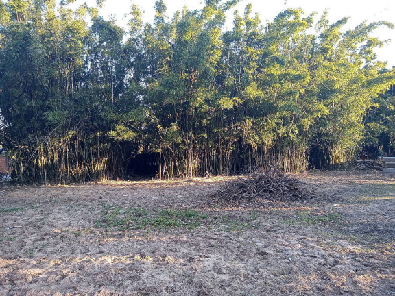 Imagem Casa com 2 Quartos à Venda, 6 m² em águas Claras - Viamão