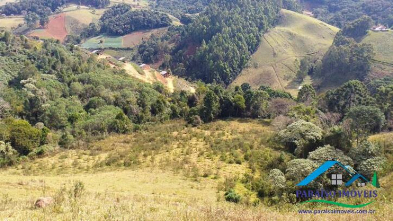 Imagem Terreno à Venda, 113.740 m² em Centro - Gonçalves