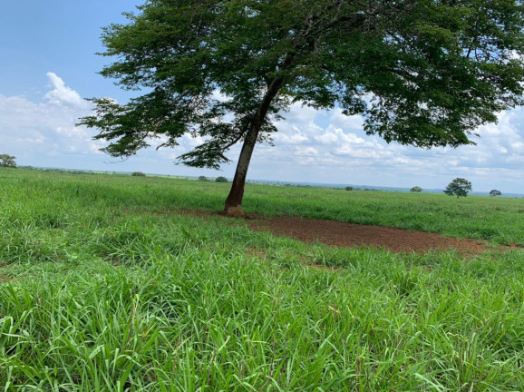 Imagem Imóvel à Venda,  em Divinópolis Do Tocantins/to - Divinópolis Do Tocantins