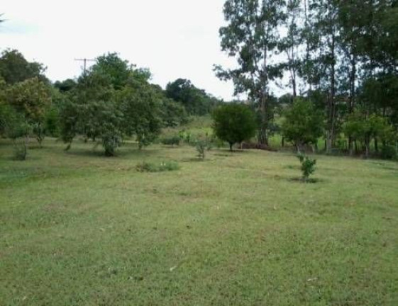 Imagem Imóvel com 4 Quartos à Venda, 180 m² em Cruz Do Cedro - Quadra Imagem Imóvel com 4 Quartos à Venda, 180 m² em Cruz Do Cedro - Quadra