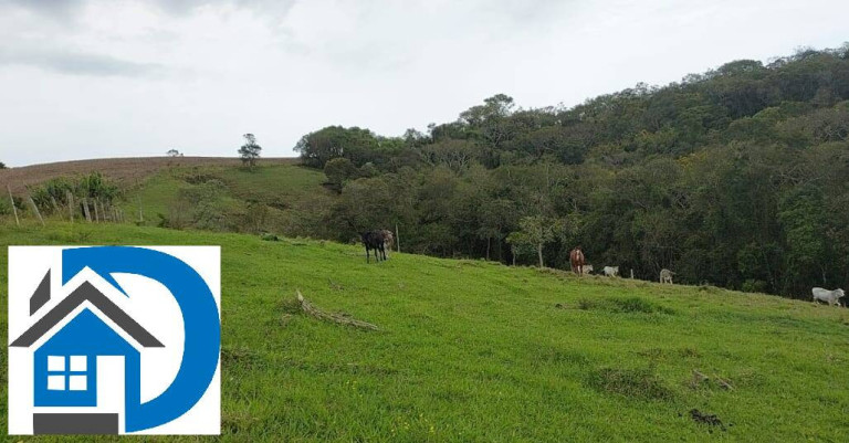 Imagem Chácara com 2 Quartos à Venda, 7 m² em Rural - Itapetininga Imagem Chácara com 2 Quartos à Venda, 7 m² em Rural - Itapetininga