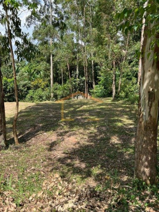 Imagem Terreno à Venda, 505 m² em Tucuruvi - São Paulo Imagem Terreno à Venda, 505 m² em Tucuruvi - São Paulo