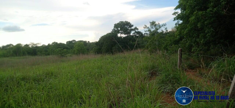 Imagem Fazenda à Venda, 86 m² em Zona Rural - Montes Claros De Goiás Imagem Fazenda à Venda, 86 m² em Zona Rural - Montes Claros De Goiás