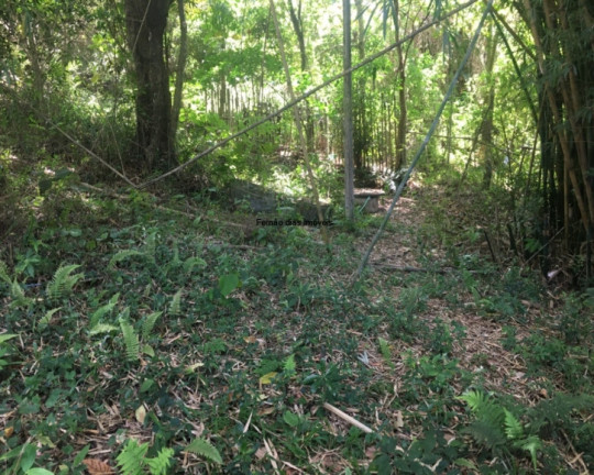 Imagem Chácara com 3 Quartos à Venda, 100 m² em Jundiaizinho (terra Preta) - Mairiporã Imagem Chácara com 3 Quartos à Venda, 100 m² em Jundiaizinho (terra Preta) - Mairiporã