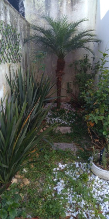 Imagem Casa com 3 Quartos à Venda, 168 m² em Chácara Santo Antônio (zona Sul) - São Paulo Imagem Casa com 3 Quartos à Venda, 168 m² em Chácara Santo Antônio (zona Sul) - São Paulo