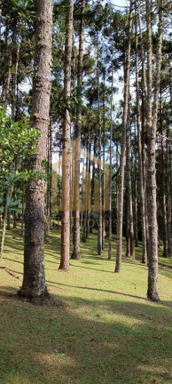 Imagem Chácara com 4 Quartos à Venda, 86.748 m² em São Dimas - Colombo
