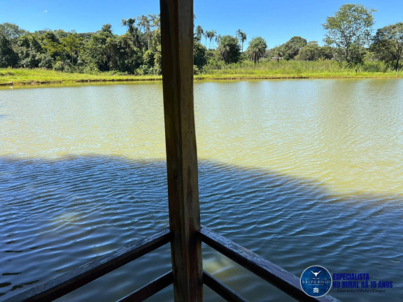 Imagem Chácara à Venda, 8 m² em Zona Rural - Petrolina De Goiás Imagem Chácara à Venda, 8 m² em Zona Rural - Petrolina De Goiás