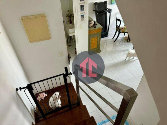 Imagem Apartamento com 2 Quartos à Venda, 95 m² em Cambuí - Campinas Imagem Apartamento com 2 Quartos à Venda, 95 m² em Cambuí - Campinas