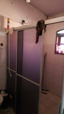 Imagem Casa com 2 Quartos à Venda, 180 m² em Ipiranguinha - Ubatuba Imagem Casa com 2 Quartos à Venda, 180 m² em Ipiranguinha - Ubatuba
