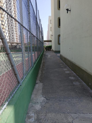 Imagem Apartamento com 2 Quartos à Venda, 49 m² em Jardim Satélite - São José Dos Campos Imagem Apartamento com 2 Quartos à Venda, 49 m² em Jardim Satélite - São José Dos Campos