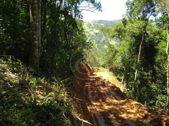Imagem Chácara à Venda, em São Benedito - Monteiro Lobato Imagem Chácara à Venda, em São Benedito - Monteiro Lobato