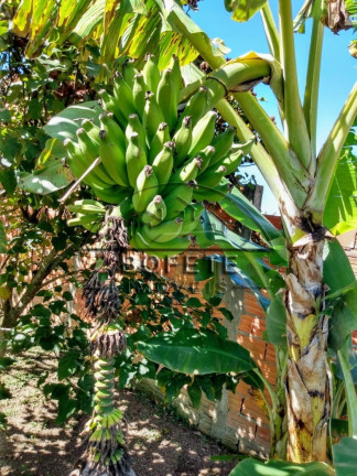 Imagem Imóvel com 2 Quartos à Venda, 1.000 m² em Vida Nova - Porangaba Imagem Imóvel com 2 Quartos à Venda, 1.000 m² em Vida Nova - Porangaba