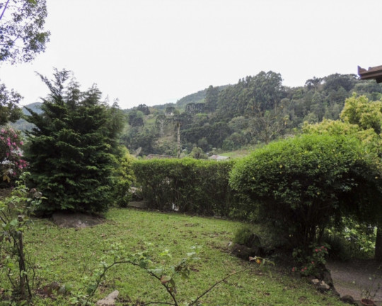 Imagem Imóvel com 4 Quartos à Venda, em Juriti - Nova Petrópolis Imagem Imóvel com 4 Quartos à Venda, em Juriti - Nova Petrópolis