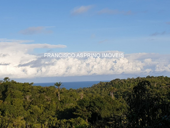 Imagem Imóvel com 6 Quartos à Venda, em Serra Grande - Uruçuca Imagem Imóvel com 6 Quartos à Venda, em Serra Grande - Uruçuca
