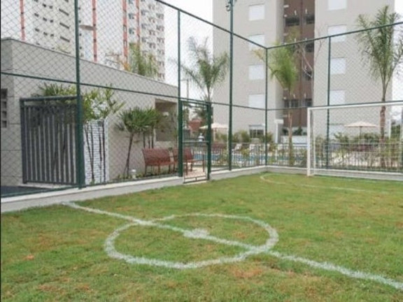 Imagem Apartamento com 3 Quartos à Venda, 60 m² em Belenzinho - São Paulo