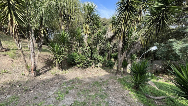 Imagem Chácara com 3 Quartos à Venda, 1.686 m² em Jardim Monte Belo - Campinas