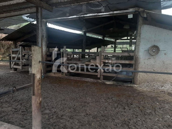 Imagem Fazenda à Venda, 90 m² em Itapeva - Paraibuna Imagem Fazenda à Venda, 90 m² em Itapeva - Paraibuna