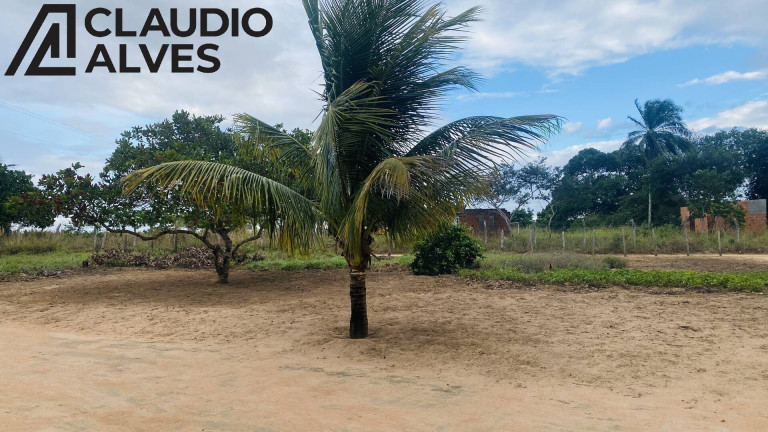 Imagem Terreno à Venda, 3.920 m² em Br 116 Norte - Santa Bárbara Imagem Terreno à Venda, 3.920 m² em Br 116 Norte - Santa Bárbara