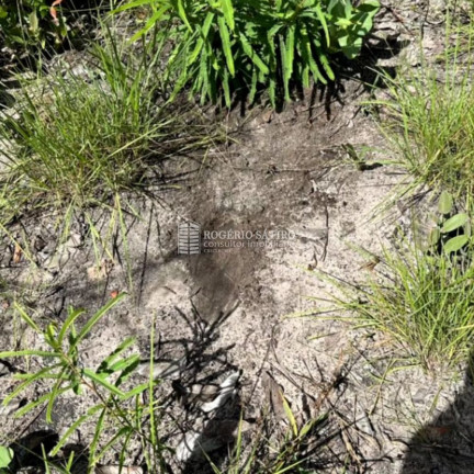 Imagem Imóvel à Venda, 3.400 m² em Plano Diretor Sul - Palmas Imagem Imóvel à Venda, 3.400 m² em Plano Diretor Sul - Palmas