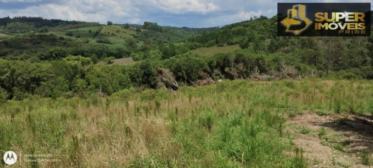 Imagem Imóvel com 4 Quartos à Venda, 150.000 m² em Zona Rural - Morro Redondo Imagem Imóvel com 4 Quartos à Venda, 150.000 m² em Zona Rural - Morro Redondo