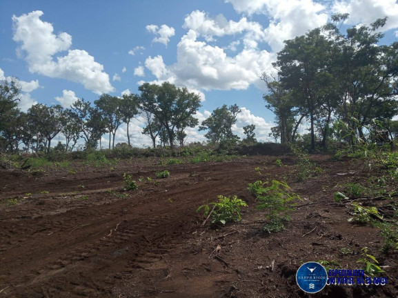 Imagem Fazenda à Venda, 195 m² em Zona Rural - Ribeirão Cascalheira Imagem Fazenda à Venda, 195 m² em Zona Rural - Ribeirão Cascalheira