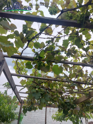 Imagem Casa com 3 Quartos à Venda, em Viamão Imagem Casa com 3 Quartos à Venda, em Viamão