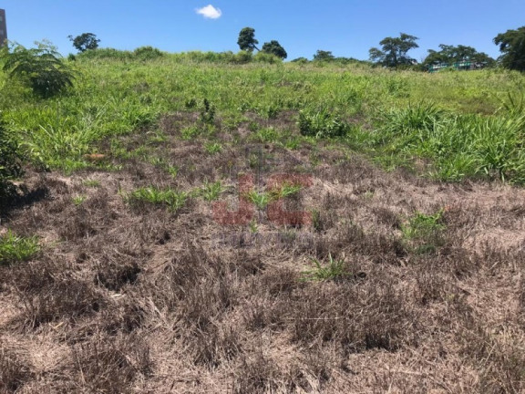Imagem Terreno à Venda, 20.123 m² em Bonfim Paulista - Ribeirão Preto Imagem Terreno à Venda, 20.123 m² em Bonfim Paulista - Ribeirão Preto