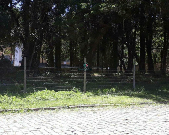 Imagem Terreno à Venda, 1 m² em Centro - Canela Imagem Terreno à Venda, 1 m² em Centro - Canela