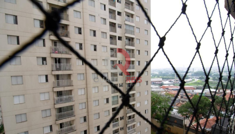 Imagem Apartamento com 3 Quartos à Venda, 64 m² em Ponte Grande - Guarulhos Imagem Apartamento com 3 Quartos à Venda, 64 m² em Ponte Grande - Guarulhos