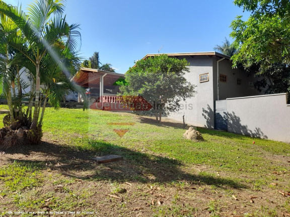Imagem Chácara com 4 Quartos à Venda, 280 m² em Barreiro - Taubaté Imagem Chácara com 4 Quartos à Venda, 280 m² em Barreiro - Taubaté