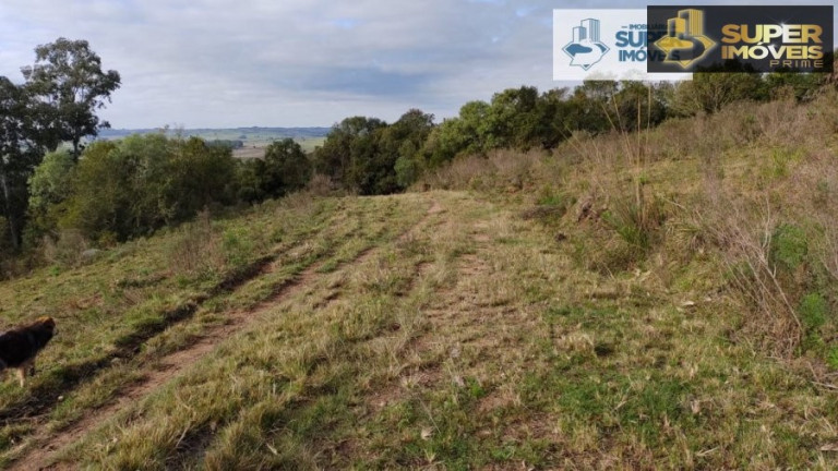 Imagem Imóvel com 2 Quartos à Venda, 580.000 m² em Centro - Canguçu