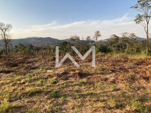 Imagem Terreno à Venda, 1.200 m² em Jardim Das Acácias - Guarulhos Imagem Terreno à Venda, 1.200 m² em Jardim Das Acácias - Guarulhos