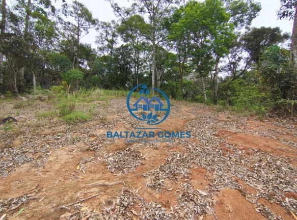 Imagem Imóvel com 4 Quartos à Venda, 4.000 m² em Biritiba Mirim Imagem Imóvel com 4 Quartos à Venda, 4.000 m² em Biritiba Mirim
