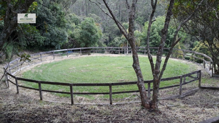 Imagem Fazenda à Venda, 121.000 m² em Alto Da Serra - São Roque Imagem Fazenda à Venda, 121.000 m² em Alto Da Serra - São Roque