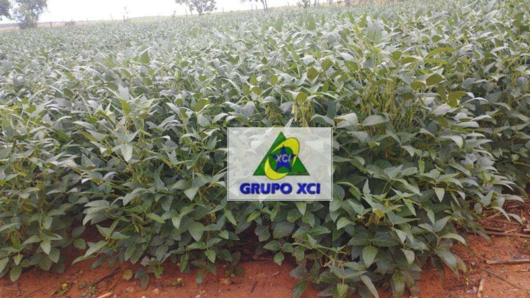Imagem Fazenda à Venda, 3.388.000 m² em Zona Rural - Ponte Alta Do Tocantins Imagem Fazenda à Venda, 3.388.000 m² em Zona Rural - Ponte Alta Do Tocantins