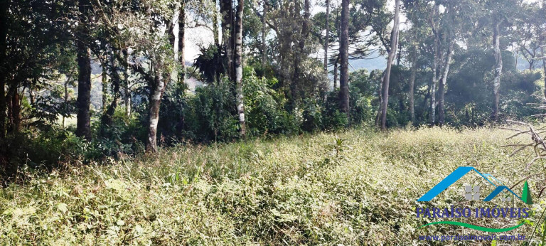 Imagem Chácara à Venda, 81 m² em Centro - Gonçalves Imagem Chácara à Venda, 81 m² em Centro - Gonçalves