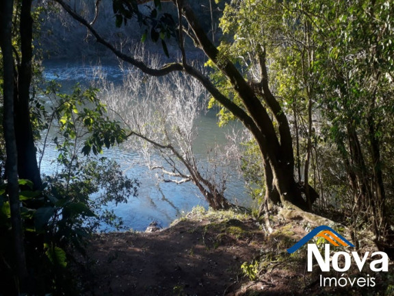 Imagem Imóvel à Venda, 60.000 m² em Linha Riachuelo - Nova Petrópolis Imagem Imóvel à Venda, 60.000 m² em Linha Riachuelo - Nova Petrópolis