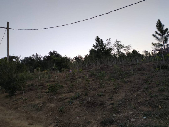 Imagem Chácara com 1 Quarto à Venda, 10 m² em Piraporão - Piedade Imagem Chácara com 1 Quarto à Venda, 10 m² em Piraporão - Piedade