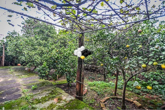 Imagem Casa de Condomínio com 3 Quartos à Venda, 100 m² em Santa Tereza - Porto Alegre Imagem Casa de Condomínio com 3 Quartos à Venda, 100 m² em Santa Tereza - Porto Alegre